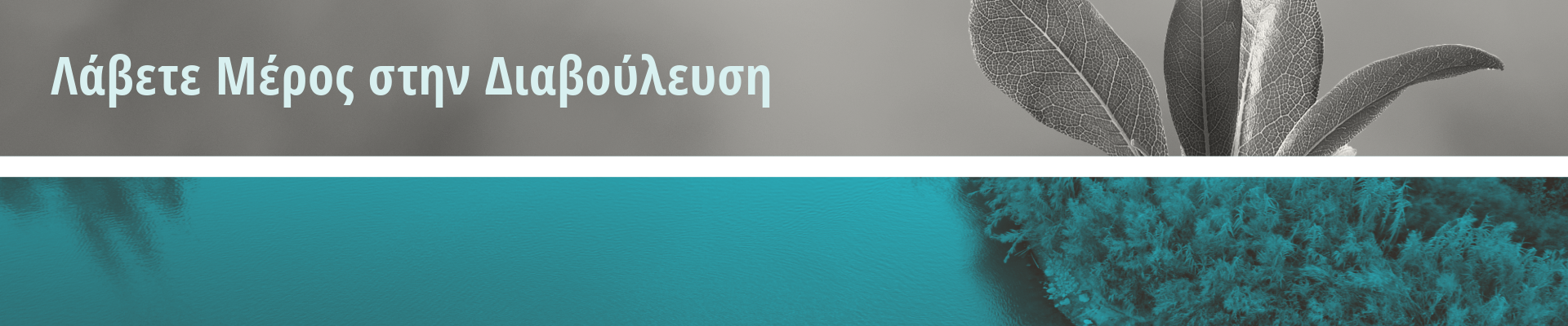 A split image featuring a close-up of a leaf in grayscale above and a vibrant turquoise water scene below, with Greek text overlay.